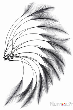 Hahn - 10-15 cm - antrazit